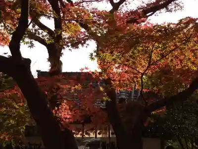 覚園寺(神奈川県)