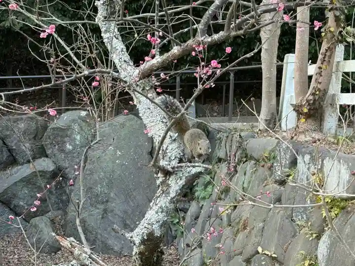 鎌倉宮の{uncategorized: "未分類", other: "その他", undefined: "問題あり", building: "その他建物", grave: "お墓", sacred_gate: "鳥居", guardian: "狛犬", statue: "像", buddha: "仏像", history: "歴史", nature: "自然", garden: "庭園", animal: "動物", pagoda: "塔", temizu: "手水舎", mountain_gate: "山門・神門", sanctuary: "本殿・本堂", subordinate: "末社・摂社", art: "芸術", scenery: "景色", jizo: "地蔵", ema: "絵馬", goshuin: "御朱印", omikuji: "おみくじ", items: "授与品その他", amulet: "お守り", goshuincho: "御朱印帳", eats: "食事", festival: "お祭り", votive_dance: "神楽", shichigosan: "七五三参", wedding: "結婚式", experience: "体験その他", initially: "初詣", around: "周辺", anti_infection: "感染症対策"}