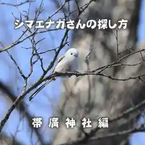 帯廣神社(北海道)(2020年09月20日(日) 10時46分05秒投稿)