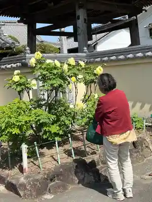 真言宗　善通寺派　薬王寺(香川県)
