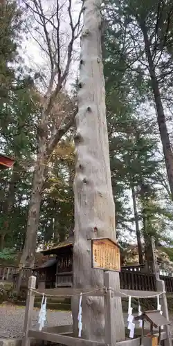 諏訪大社下社秋宮の自然