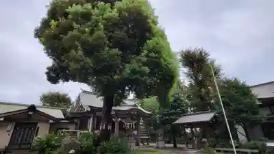 若宮神社のその他建物