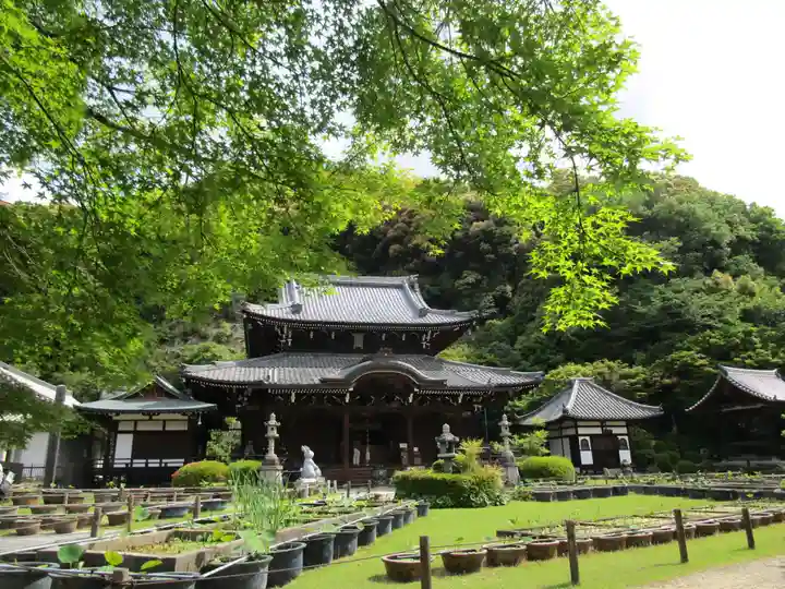 三室戸寺(京都府)