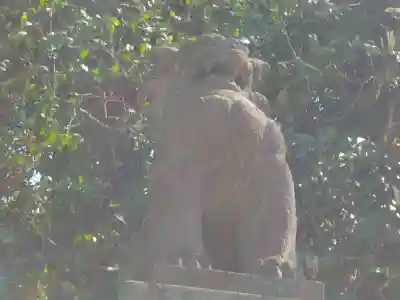 代々木八幡宮の狛犬