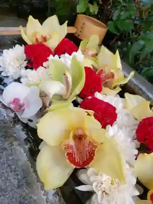 本郷氷川神社(東京都)