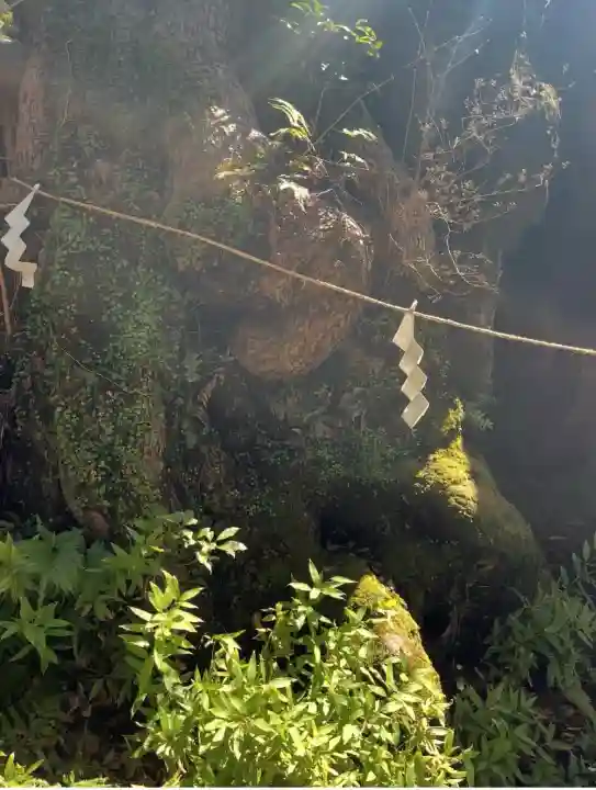 來宮神社(静岡県)