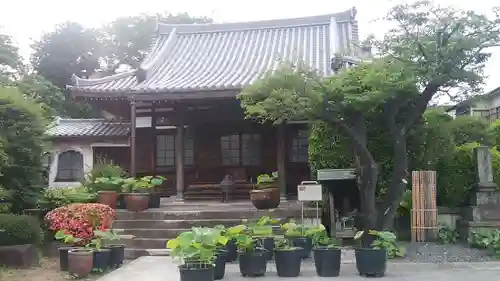 長慶寺の本殿・本堂