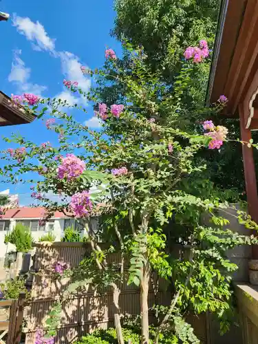 東光院(大阪府)