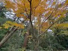 伊勢神宮外宮（豊受大神宮）(三重県)