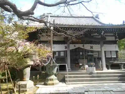 安國論寺（安国論寺）の本殿・本堂