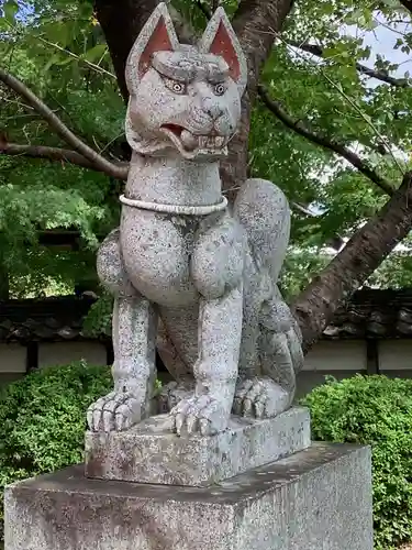 稲荷神社（柏井稲荷社）の狛犬