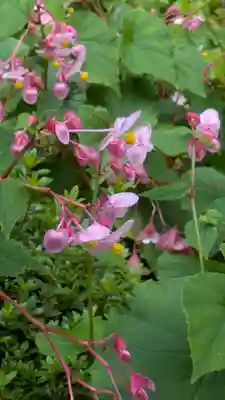寂光院(京都府)