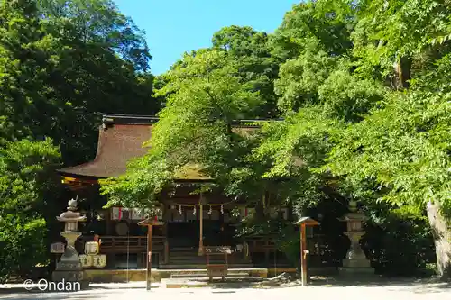 廣瀬大社(奈良県)