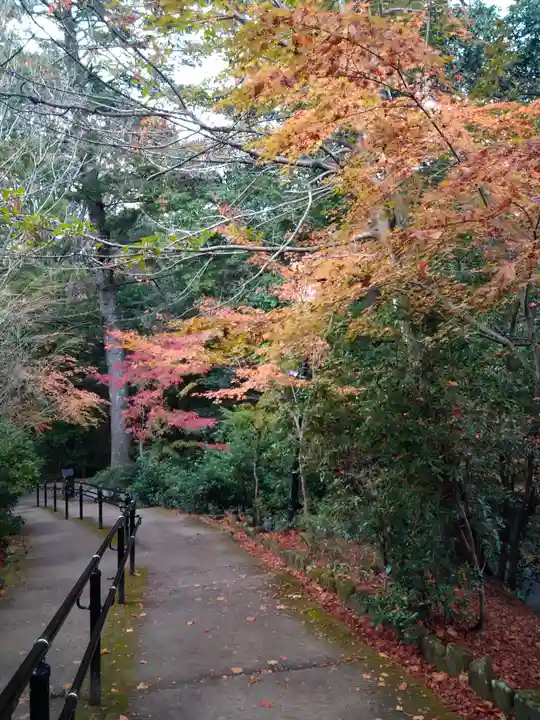 四宮神社の自然