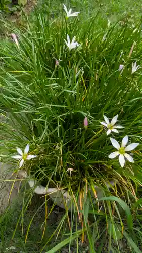 西福寺(京都府)