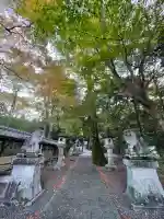 八幡神社(岐阜県)