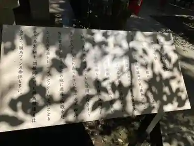 大杉神社(茨城県)