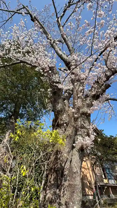 柏木神社(宮城県)