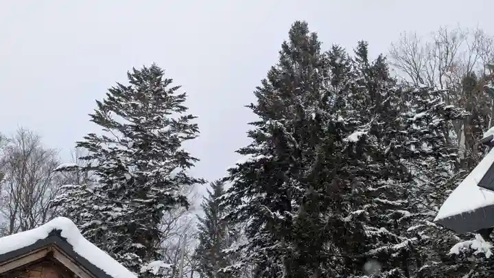 相馬妙見宮 大上川神社の自然