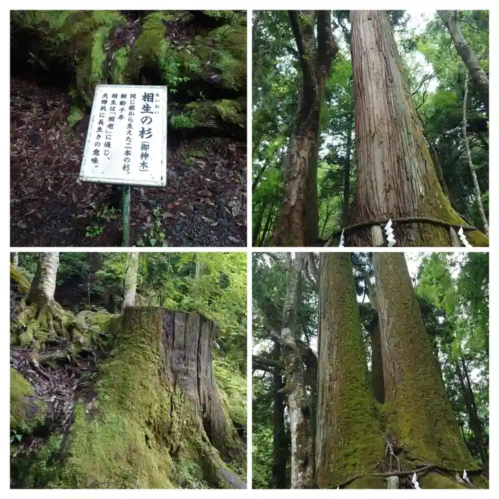 貴船神社奥宮(京都府)