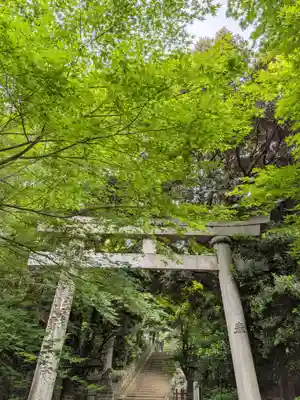 赤坂氷川神社(東京都)