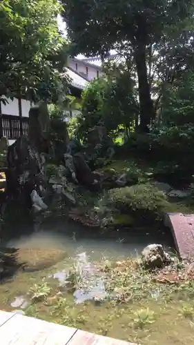 大通寺（長浜御坊）の庭園