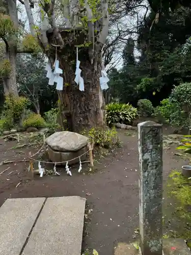 江島神社の{uncategorized: "未分類", other: "その他", undefined: "問題あり", building: "その他建物", grave: "お墓", sacred_gate: "鳥居", guardian: "狛犬", statue: "像", buddha: "仏像", history: "歴史", nature: "自然", garden: "庭園", animal: "動物", pagoda: "塔", temizu: "手水舎", mountain_gate: "山門・神門", sanctuary: "本殿・本堂", subordinate: "末社・摂社", art: "芸術", scenery: "景色", jizo: "地蔵", ema: "絵馬", goshuin: "御朱印", omikuji: "おみくじ", items: "授与品その他", amulet: "お守り", goshuincho: "御朱印帳", eats: "食事", festival: "お祭り", votive_dance: "神楽", shichigosan: "七五三参", wedding: "結婚式", experience: "体験その他", initially: "初詣", around: "周辺", anti_infection: "感染症対策"}