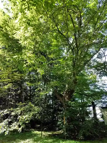 比布神社(北海道)