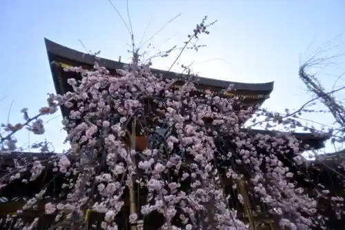 湯島天満宮の庭園