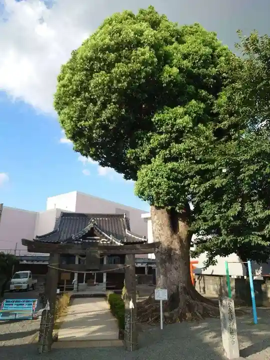 田代外町天満宮(佐賀県)