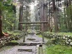 平泉寺白山神社の鳥居