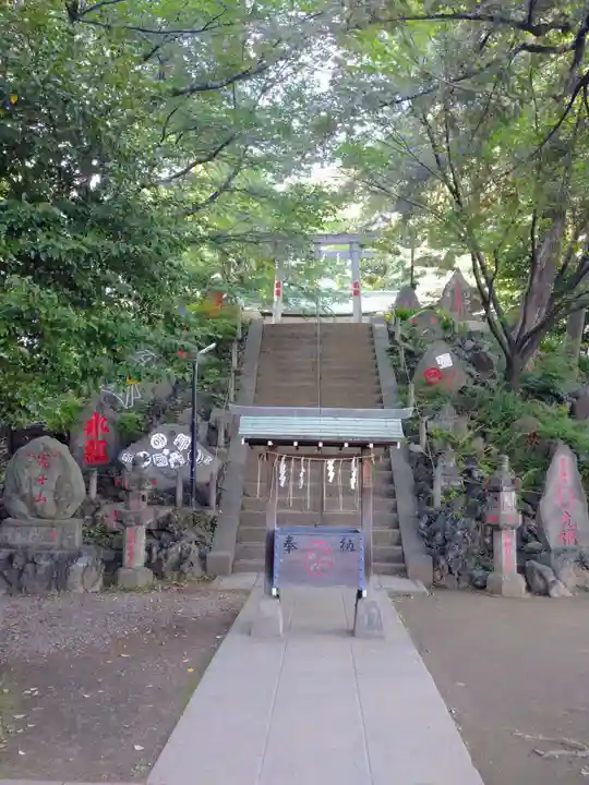 駒込富士神社(東京都)
