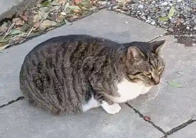 阿邪訶根神社(福島県)