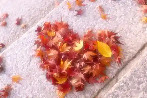 志波彦神社・鹽竈神社のその他建物