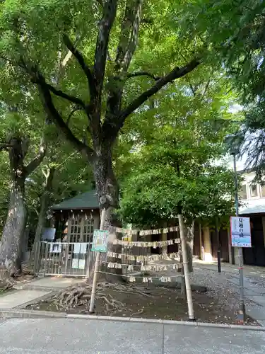 鳩森八幡神社(東京都)