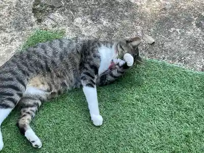 王子神社(徳島県)