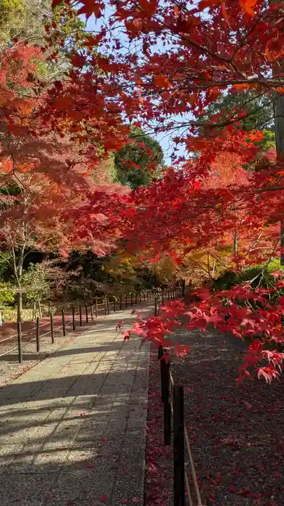 光明寺(粟生光明寺)(京都府)