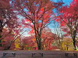 土津神社|こどもと出世の神さま(福島県)(2024年11月16日(土) 17時42分45秒投稿)