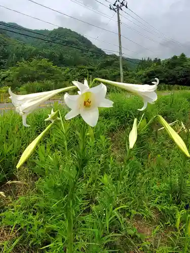 高司神社〜むすびの神の鎮まる社〜(福島県)