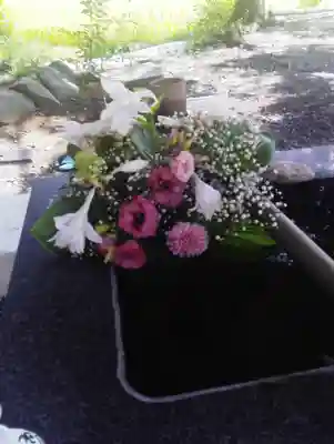 高司神社〜むすびの神の鎮まる社〜の手水舎