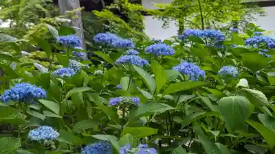 真正極楽寺(真如堂)(京都府)