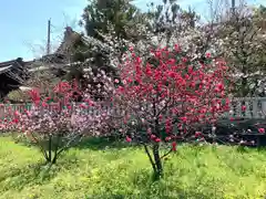 住吉神社(岐阜県)