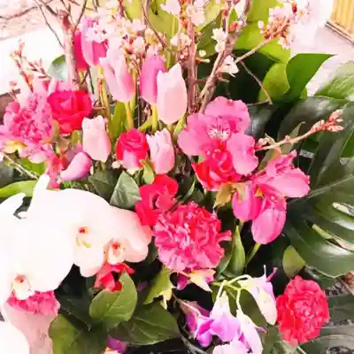 彌彦神社　(伊夜日子神社)の手水舎