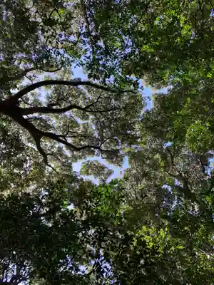 浅間神社の自然