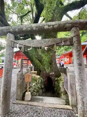 熊野那智大社(和歌山県)