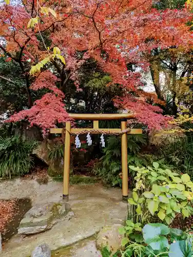 愛宕神社の鳥居