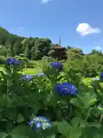 瑠璃光寺の庭園