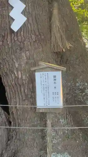 常陸國總社宮(茨城県)