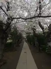 極楽寺（霊鷲山感應院極楽律寺）(神奈川県)