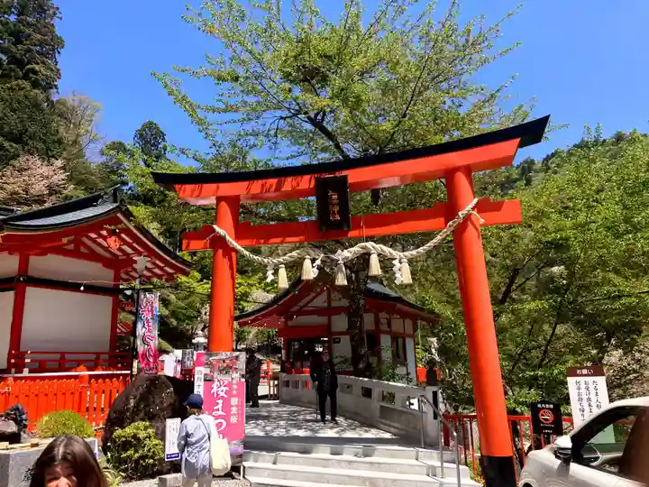金櫻神社(山梨県)